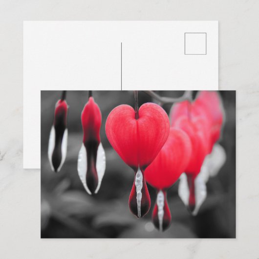 Blume des Herzens Postkarte (Vorne/Hinten)