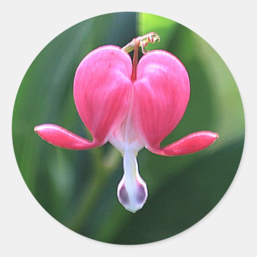 Blume des Herzens Runde Umschlag Aufkleber (Vorderseite)