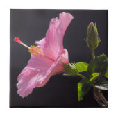 Blume des Hibiskus in Profil Fliese (Vorderseite)