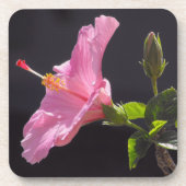 Blume des Hibiskus in Profil Getränkeuntersetzer (Vorderseite)