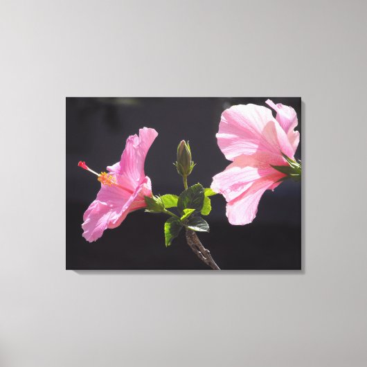 Blume des Hibiskus in Profil Leinwanddruck (Vorderseite)