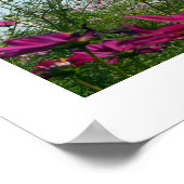 Blume des japanischen Posters Poster (Ecke)