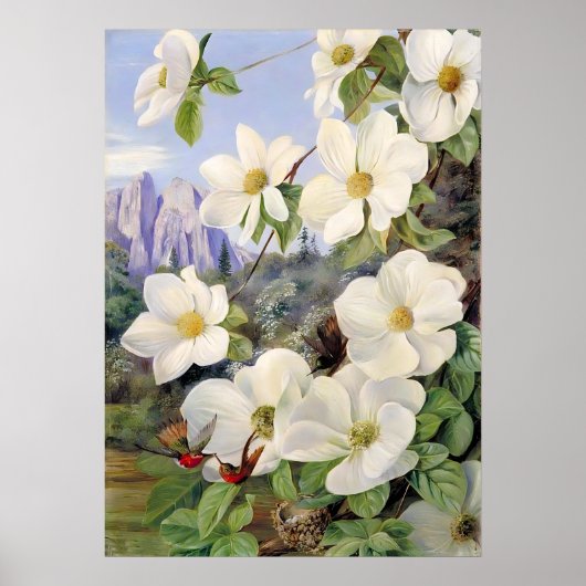 Blume des Kaliforniens von Marianne North Poster (Vorne)