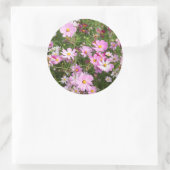 Blume des Kosmos (Bidens Formosa). Kirkwood Runder Aufkleber (Tasche)