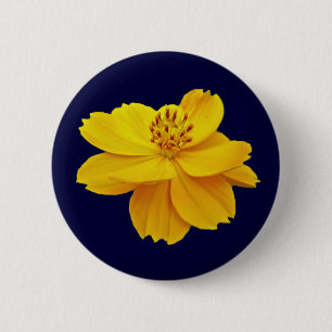 Blume des Kosmos (Cosmos sulfureus) Button
