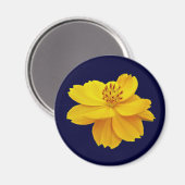 Blume des Kosmos (Cosmos sulfureus) Magnet (Vorderseite/Rückseite)