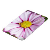 Blume des Kosmos (Gärten für Mosa) Magnet (Linke Seite)
