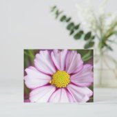 Blume des Kosmos (Gärten für Mosa) Postkarte (Stehend Vorderseite)