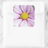 Blume des Kosmos (Gärten für Mosa) Quadratischer Aufkleber (Tasche)