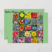 Blume des Kulturerbes - USA Postkarte (Vorne/Hinten)