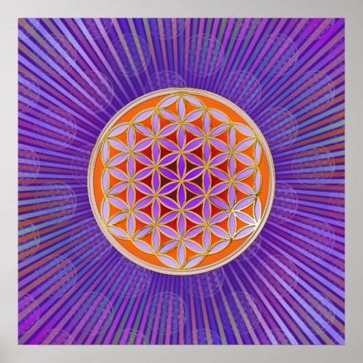 Blume des Lebens - Knopfviolett Poster (Vorne)