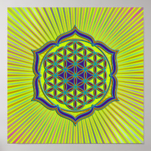 Blume des Lebens / Lebensgefühl - Lotus Contour Poster