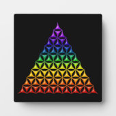 Blume des Lebens / Lebensgefühl - Pyramidenschakra Fotoplatte (Vorderseite)