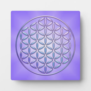 Blume des Lebens / Lebensgefühl - Violett der Brie Fotoplatte