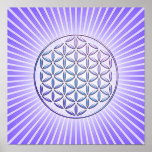 Blume des Lebens / Lebensgefühl - Violett der Brie Poster