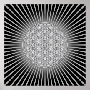 Blume des Lebens / Lebensgefühl - weiß Poster