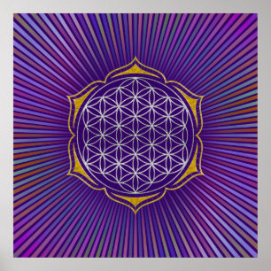 Blume des Lebens - Lotus silver Poster