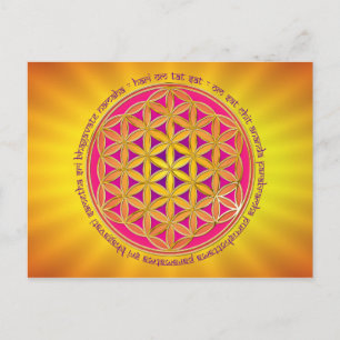 Blume des Lebens / Moola Mantra Postkarte