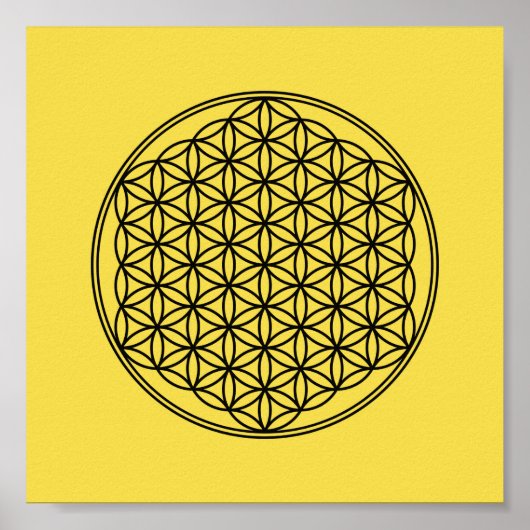 Blume des Lebens - Muster Poster (Vorne)
