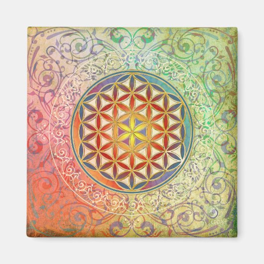 Blume des Lebens - Ornament I Magnet (Vorne)
