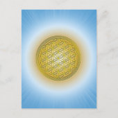 Blume des Lebens Postkarte (Vorderseite)