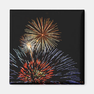 Blume des Lichtmagazins Magnet