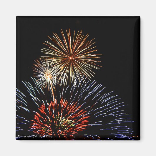 Blume des Lichtmagazins Magnet (Vorne)
