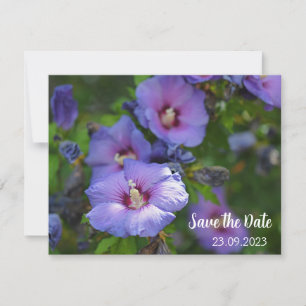 Blume des lila Hibiskus Save the Date Feiertagskarte