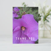 Blume des lila Hibiskus schließen (Stehend Vorderseite)