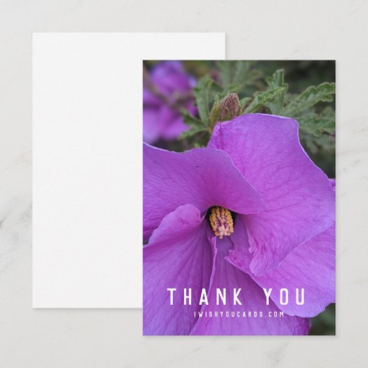 Blume des lila Hibiskus schließen (Vorne/Hinten)