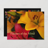 Blume des Marktes II Postkarte (Vorne/Hinten)