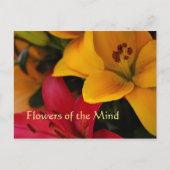 Blume des Marktes II Postkarte (Vorderseite)