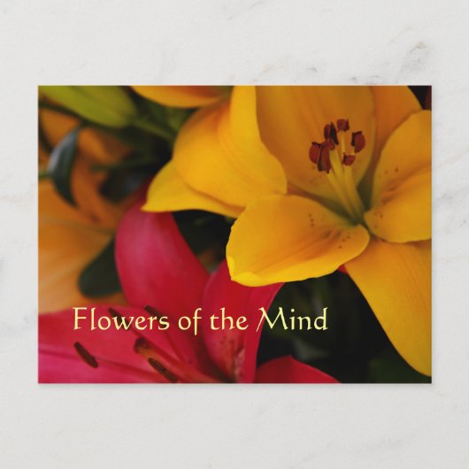 Blume des Marktes II Postkarte (Vorderseite)