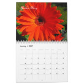 Blume des Mittleren Gartens - Originalfotografie Kalender (Jan 2027)