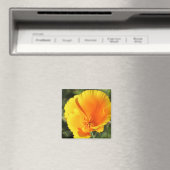 Blume des Mohns aus Kalifornien Magnet (In Situ (Geschirrspüler))