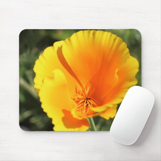 Blume des Mohns aus Kalifornien Mousepad (Mit Mouse)