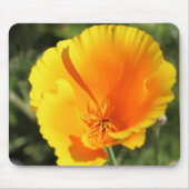 Blume des Mohns aus Kalifornien Mousepad (Vorne)