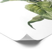 Blume des Morgens Poster (Ecke)