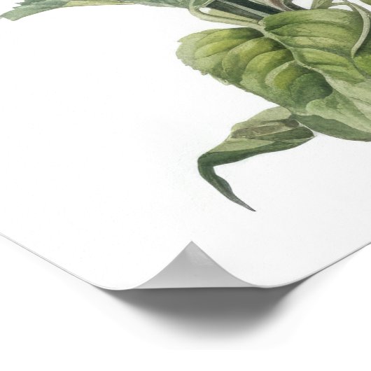 Blume des Morgens Poster (Ecke)