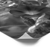 Blume des Morgens und Unkraut von Schwarz und Weiß Poster (Ecke)