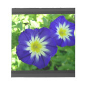 Blume des Morning Glory Notepad Notizblock (Vorderseite)