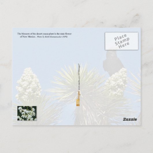 Blume des neuen Mexiko-Staat: Yucca-Blume Postkarte (Rückseite)
