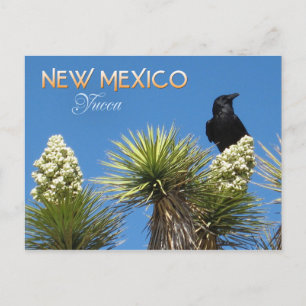 Blume des neuen Mexiko-Staat: Yucca-Blume Postkarte