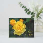 Blume des New Yorker Staat: Rose Postkarte (Stehend Vorderseite)