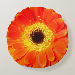 Blume des orange Gänseblümchens rundes Throwkiss Kissen