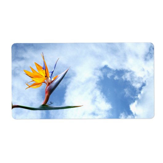 Blume des Paradieses (Vorne)
