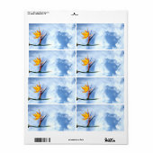 Blume des Paradieses (Vorne)