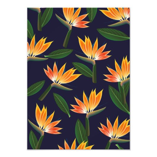 Blume des Paradieses Fotodruck (Vorne)