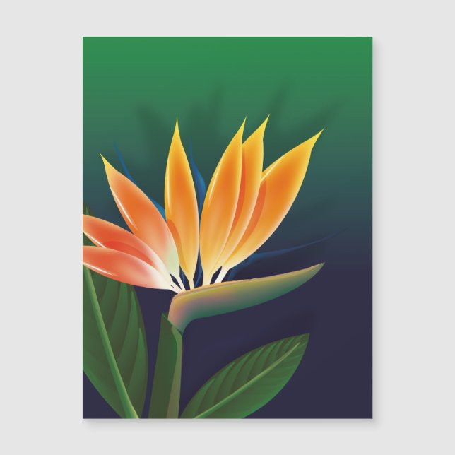 Blume des Paradieses Magnetkarte (Vorderseite)