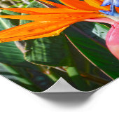 Blume des Paradieses Poster (Ecke)